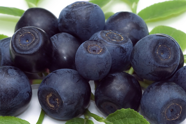 Bilberry Extract