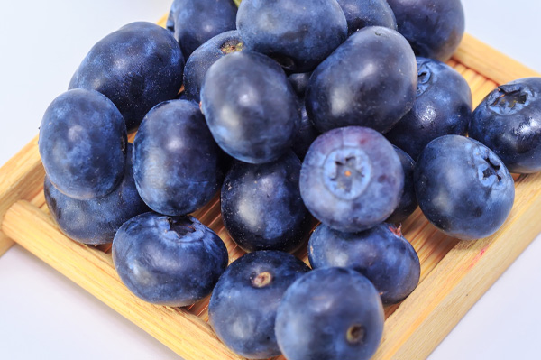 Blueberry Extract