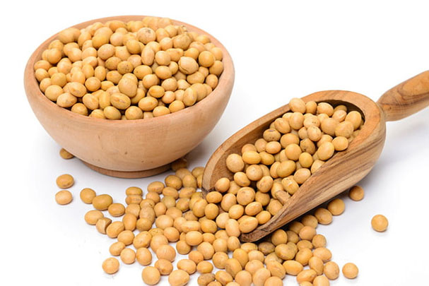 Soybean Extract